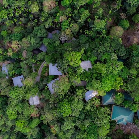 The Hive, Wayanad Hotel Eksteriør billede