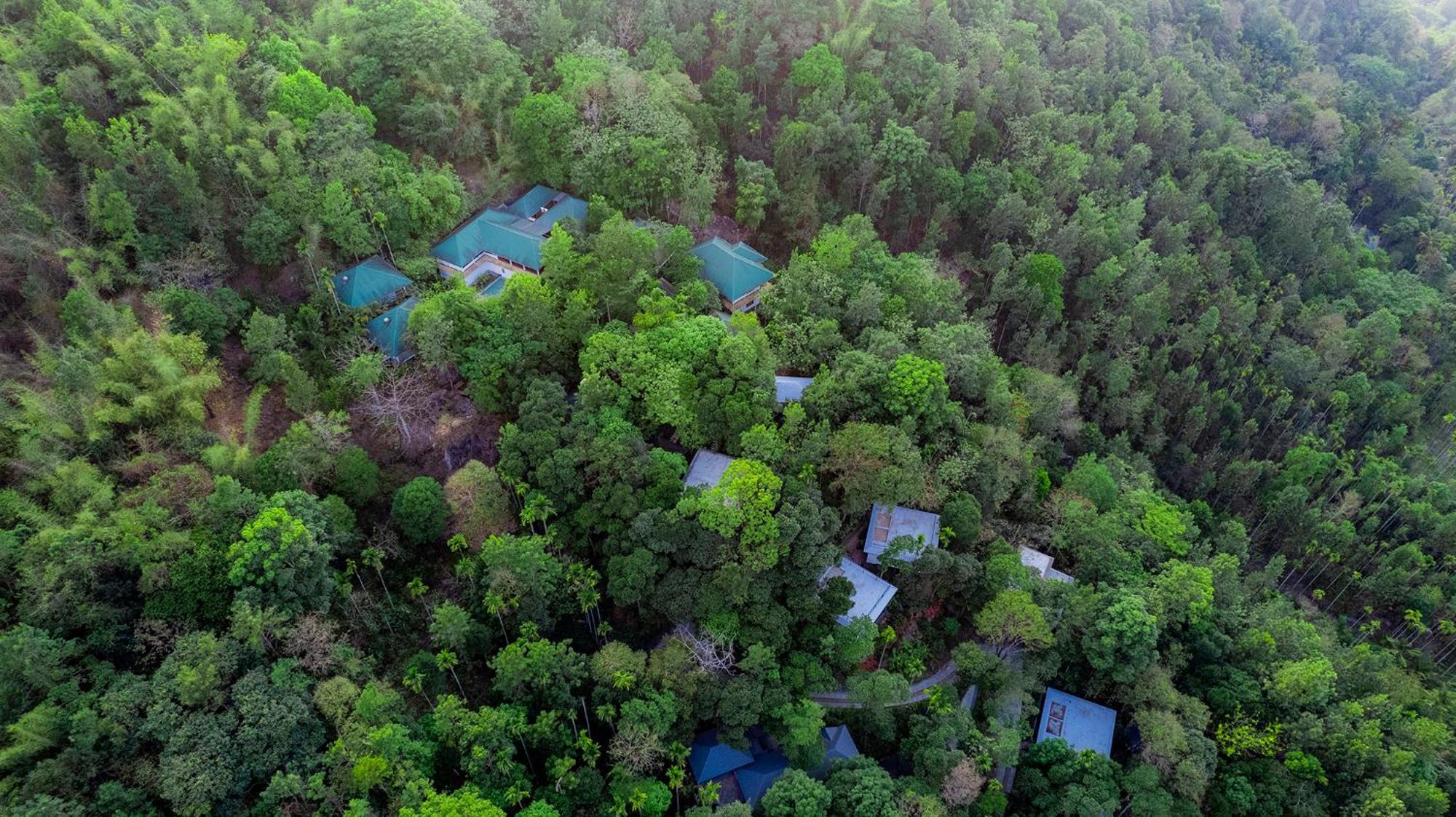 The Hive, Wayanad Hotel Eksteriør billede