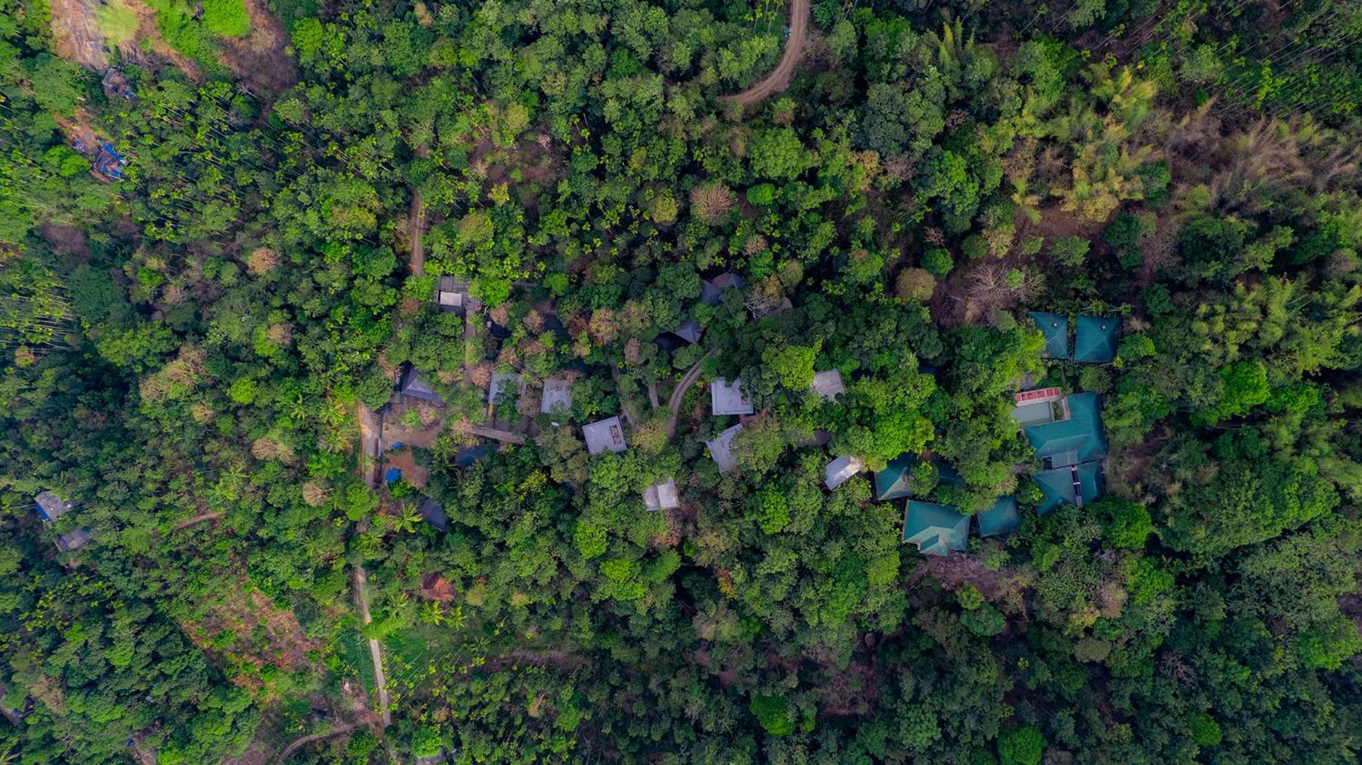 The Hive, Wayanad Hotel Eksteriør billede