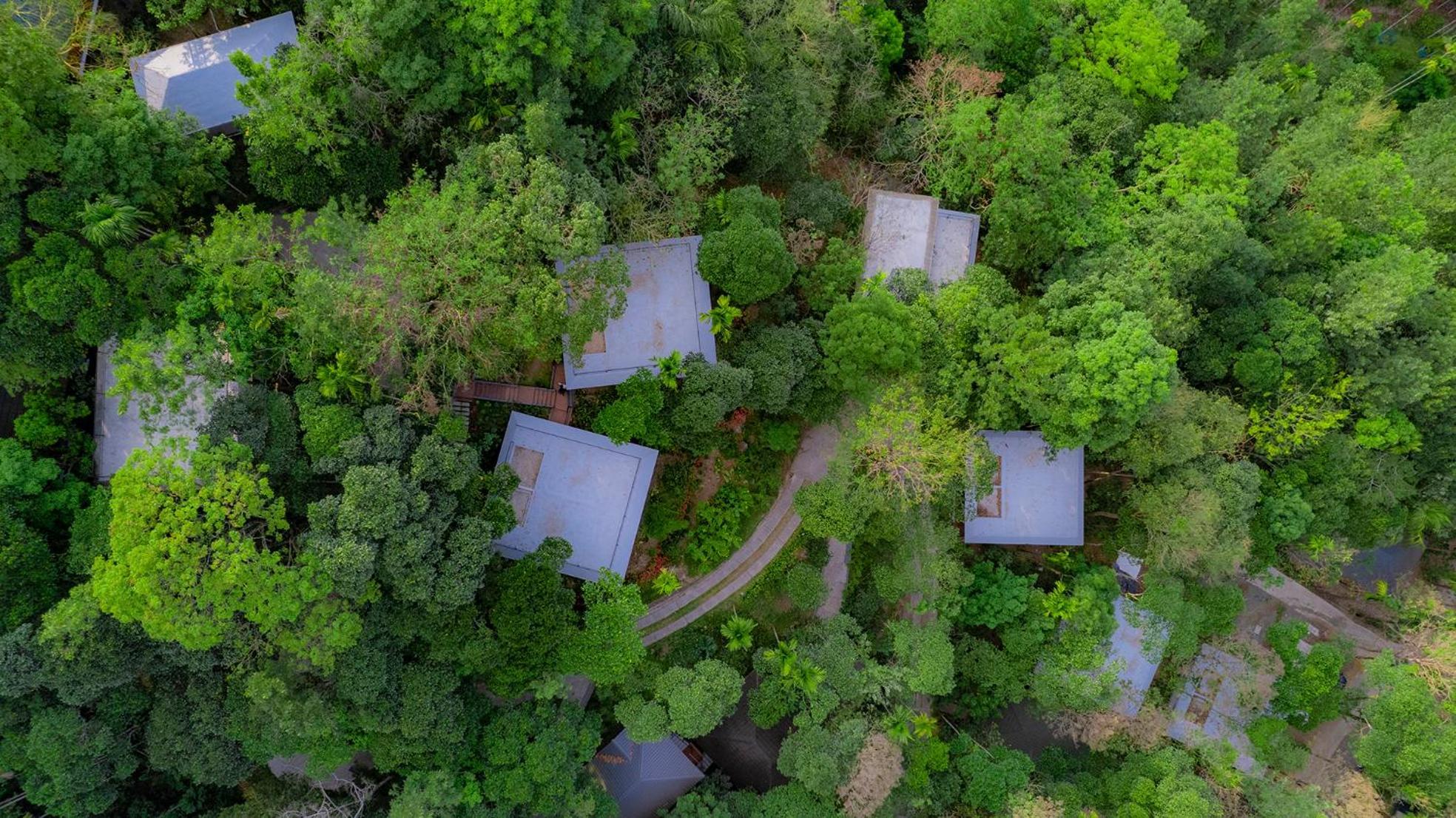 The Hive, Wayanad Hotel Eksteriør billede