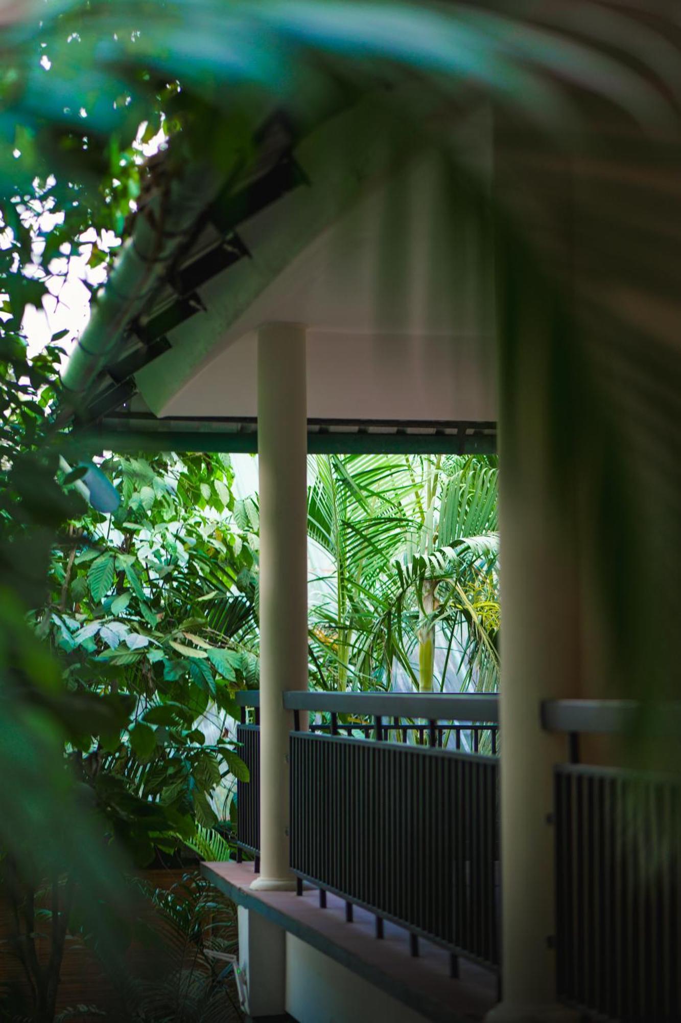 The Hive, Wayanad Hotel Eksteriør billede