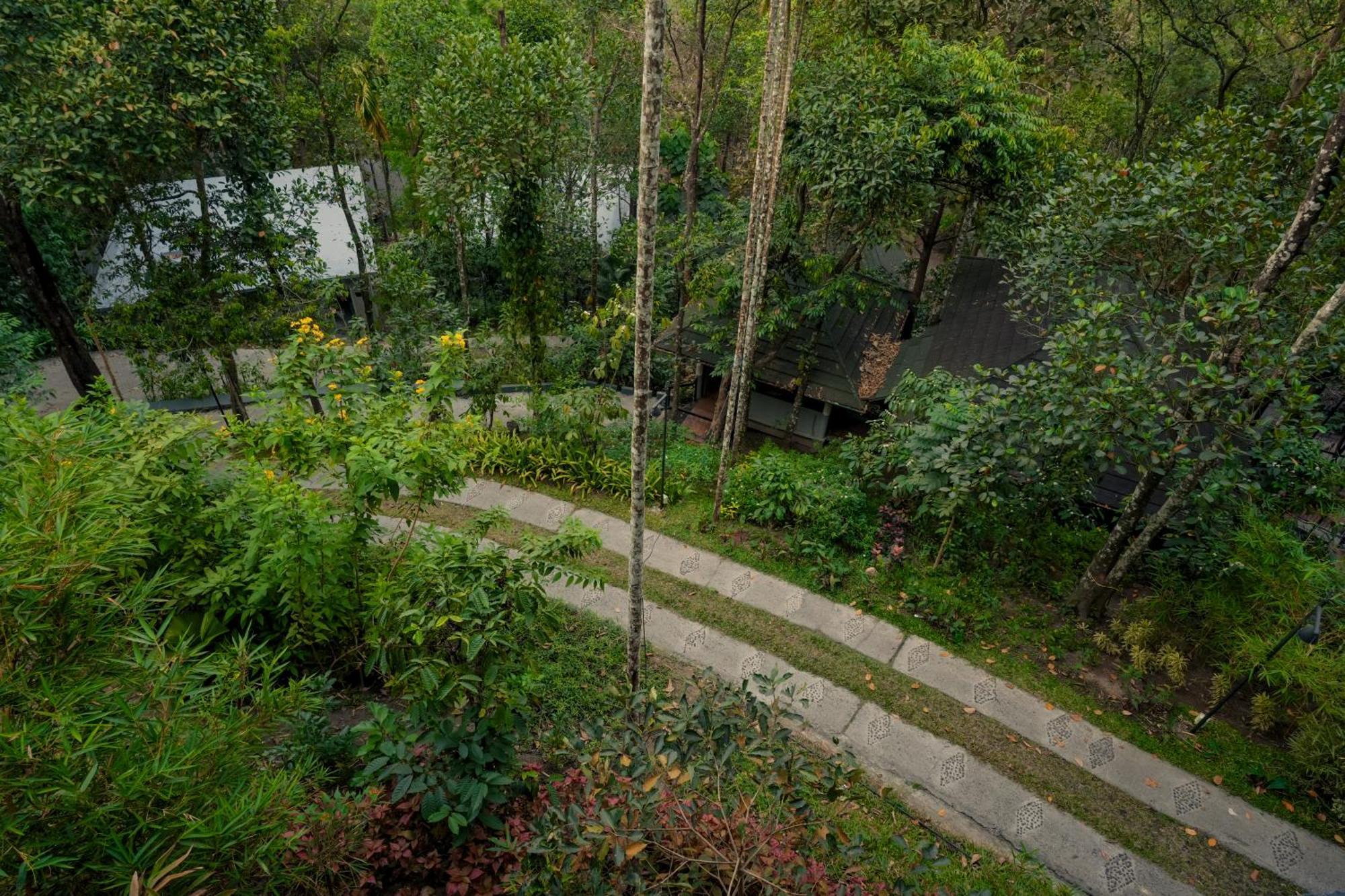The Hive, Wayanad Hotel Eksteriør billede