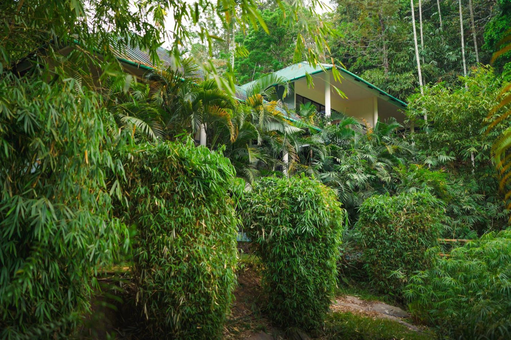 The Hive, Wayanad Hotel Eksteriør billede